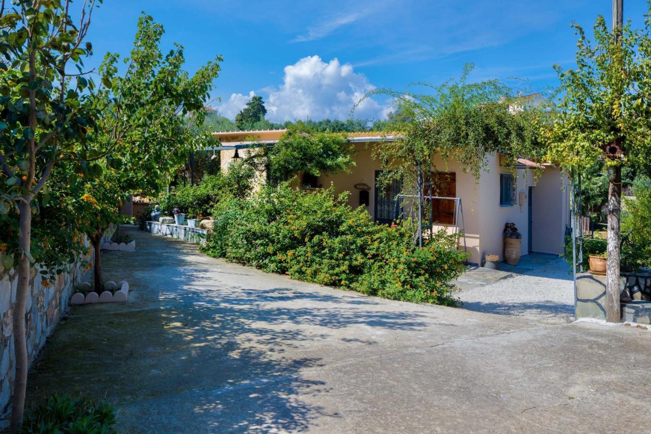 The Olive House Villa Kondomarion Exterior photo